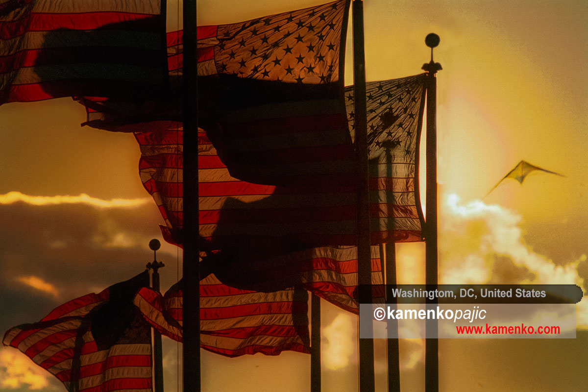 Kite flies above the flags